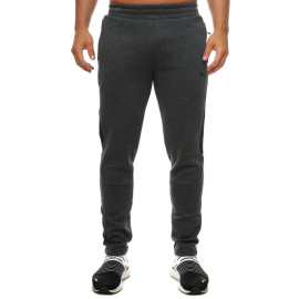 PUMA HLACE PUMA EVOSTRIPE CORE PANTS