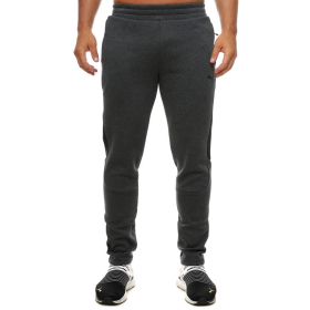 PUMA HLACE PUMA EVOSTRIPE CORE PANTS
